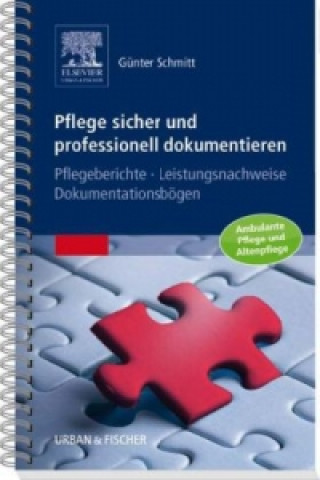 Könyv Pflege sicher und professionell dokumentieren Günter Schmitt