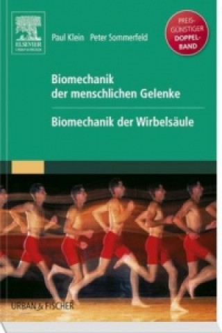 Książka Biomechanik der menschlichen Gelenke. Biomechanik der Wirbelsäule Paul Klein
