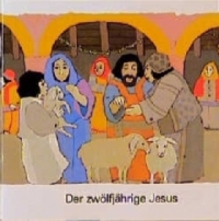 Kniha Der zwölfjährige Jesus Kees de Kort