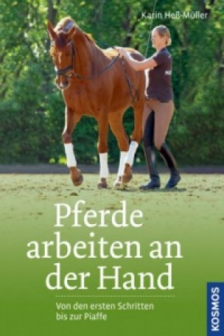 Carte Pferde arbeiten an der Hand Karin Heß-Müller