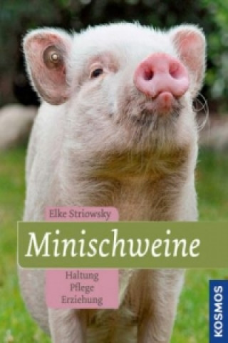 Kniha Minischweine Elke Striowsky