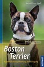 Carte Boston Terrier Annegret Kämmerling