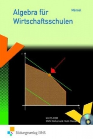 Książka Algebra für Wirtschaftsschulen Markus Heisterkamp