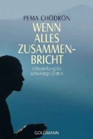 Βιβλίο Wenn alles zusammenbricht Thomas Geist