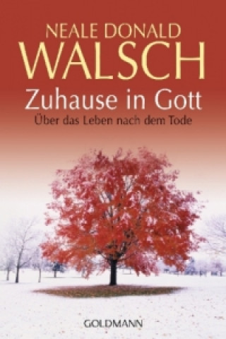 Kniha Zuhause in Gott Neale Donald Walsch