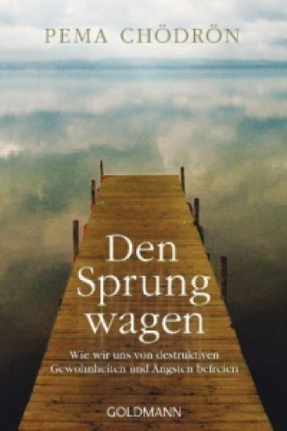 Könyv Den Sprung wagen Pema Chödrön