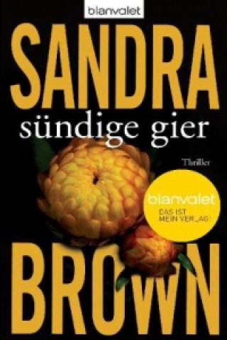 Kniha Sündige Gier Sandra Brown