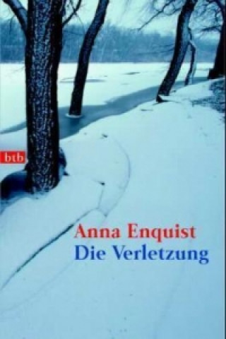 Könyv Die Verletzung Anna Enquist