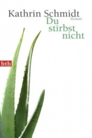 Kniha Du stirbst nicht Kathrin Schmidt