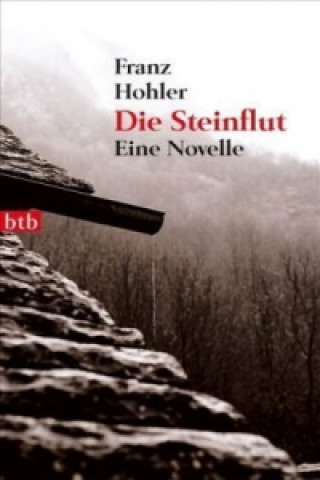 Kniha Die Steinflut Franz Hohler