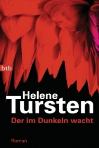 Kniha Der im Dunkeln wacht Helene Tursten