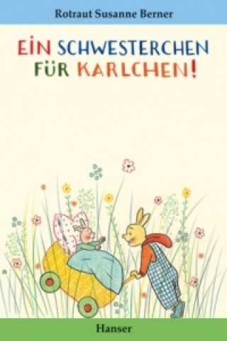 Книга Ein Schwesterchen für Karlchen Rotraut S. Berner