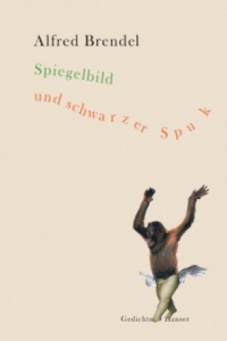 Könyv Spiegelbild und schwarzer Spuk Alfred Brendel