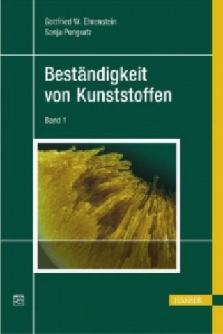 Kniha Beständigkeit von Kunststoffen Gottfried W. Ehrenstein