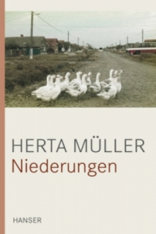 Kniha Niederungen Herta Müller
