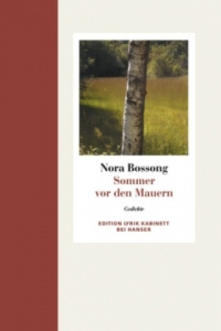 Könyv Sommer vor den Mauern Nora Bossong