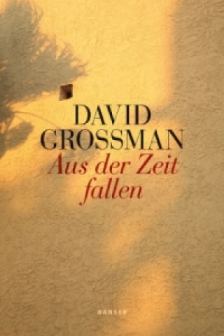 Książka Aus der Zeit fallen David Grossman