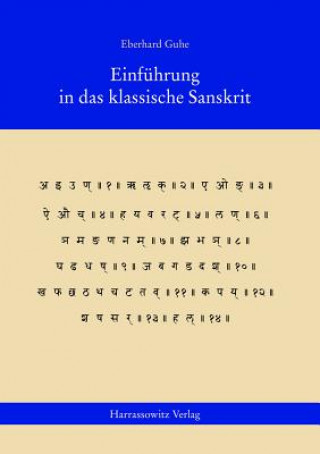 Kniha Einführung in das klassische Sanskrit Eberhard Guhe