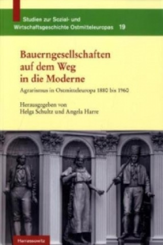 Kniha Bauerngesellschaften auf dem Weg in die Moderne Helga Schultz