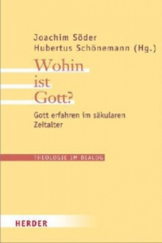 Könyv Wohin ist Gott? Joachim Söder