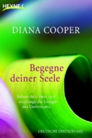 Kniha Begegne deiner Seele Diana Cooper