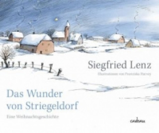 Kniha Das Wunder von Striegeldorf Siegfried Lenz