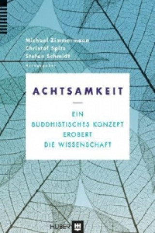 Buch Achtsamkeit Michael Zimmermann