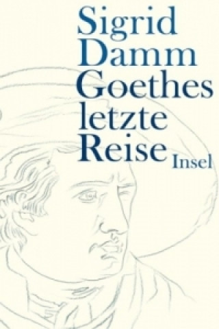 Könyv Goethes letzte Reise Sigrid Damm