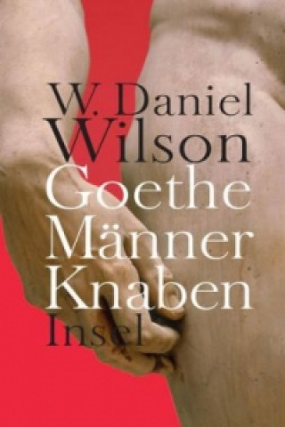 Book Goethe Männer Knaben W. D. Wilson