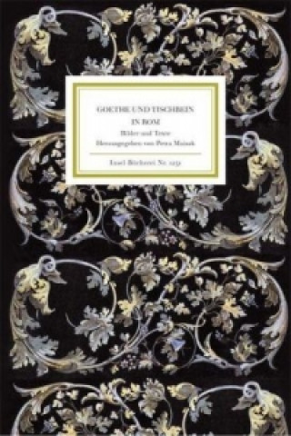 Книга Goethe und Tischbein in Rom Petra Maisak