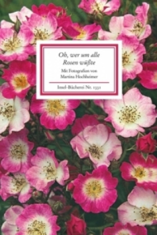 Könyv Oh, wer um alle Rosen wüßte Martina Hochheimer