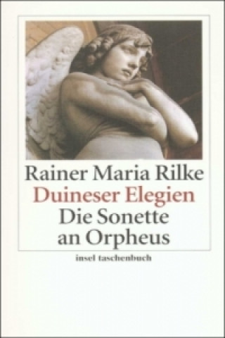 Książka Duineser Elegien. Die Sonette an Orpheus Rainer Maria Rilke