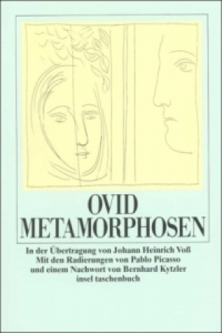 Buch Metamorphosen vid