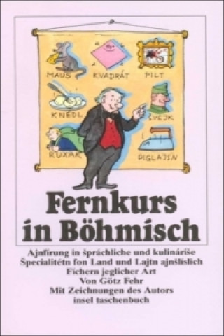 Kniha Fernkurs in Böhmisch Götz Fehr