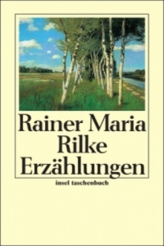 Książka Die Erzählungen Rainer Maria Rilke