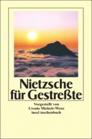 Kniha Nietzsche für Gestreßte Friedrich Nietzsche