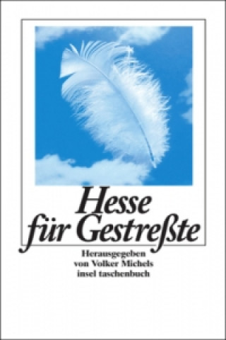 Könyv Hesse für Gestreßte Hermann Hesse