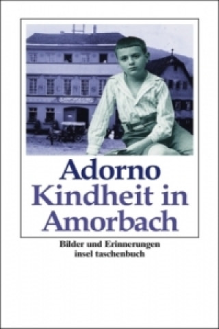 Kniha Kindheit in Amorbach Theodor W. Adorno