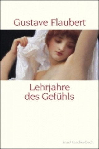 Kniha Lehrjahre des Gefühls Gustave Flaubert