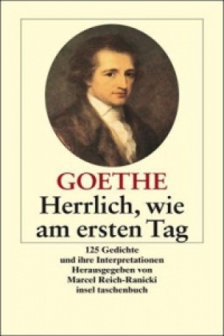 Kniha Herrlich wie am ersten Tag Johann W. von Goethe