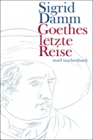 Kniha Goethes letzte Reise Sigrid Damm