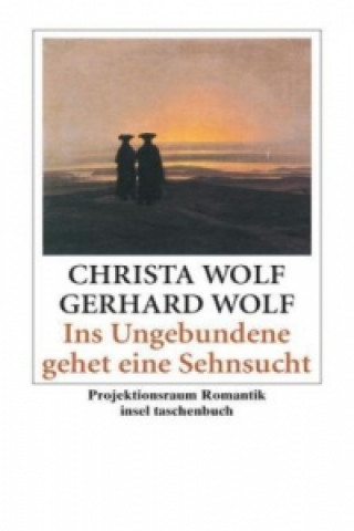 Könyv Ins Ungebundene gehet eine Sehnsucht Christa Wolf