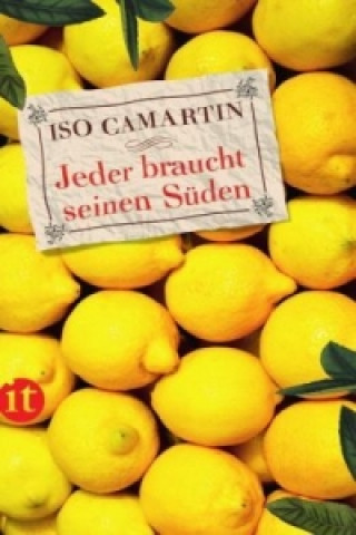 Könyv Jeder braucht seinen Süden Iso Camartin