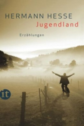 Kniha Jugendland Hermann Hesse