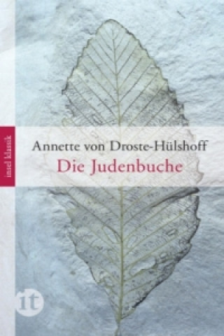 Книга Die Judenbuche Annette von Droste-Hülshoff