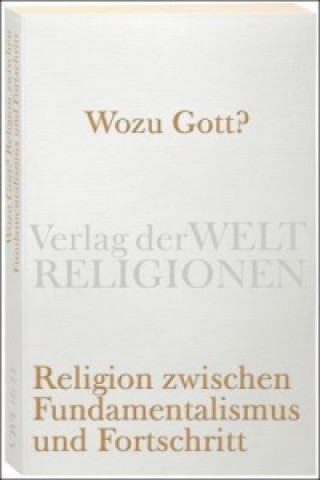 Kniha Wozu Gott? Religion zwischen Fundamentalismus und Fortschritt Peter Kemper