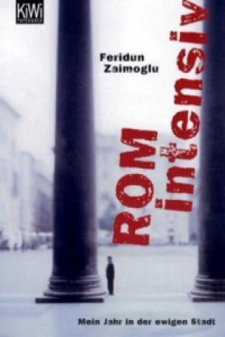 Kniha Rom intensiv Feridun Zaimoglu