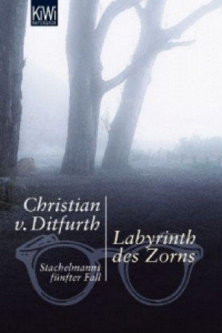 Carte Labyrinth des Zorns Christian von Ditfurth