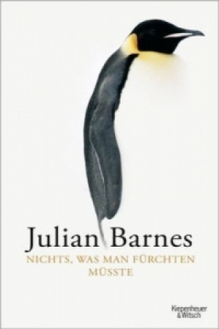 Kniha Nichts, was man fürchten müsste Julian Barnes