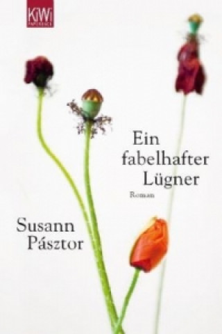 Buch Ein fabelhafter Lügner Susann Pásztor